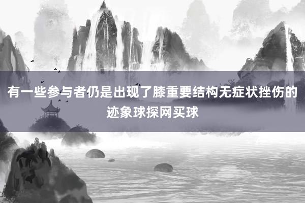 有一些参与者仍是出现了膝重要结构无症状挫伤的迹象球探网买球