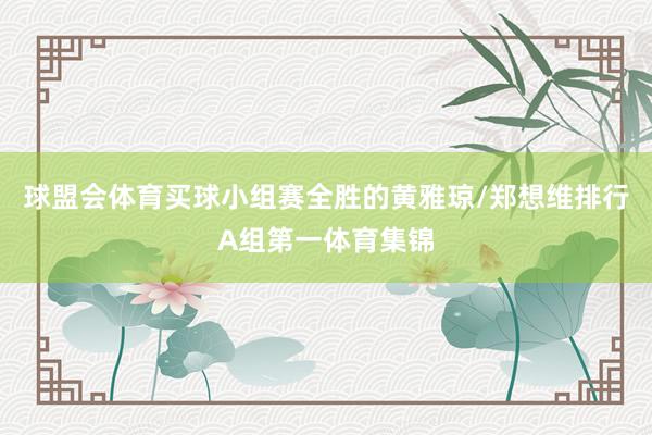 球盟会体育买球小组赛全胜的黄雅琼/郑想维排行A组第一体育集锦