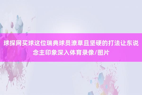球探网买球这位瑞典球员潦草且坚硬的打法让东说念主印象深入体育录像/图片
