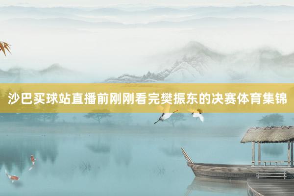 沙巴买球站直播前刚刚看完樊振东的决赛体育集锦