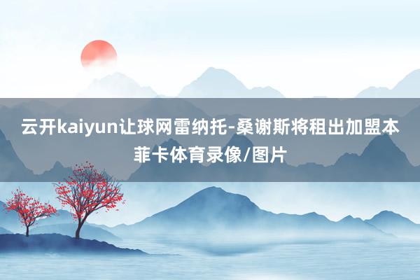 云开kaiyun让球网雷纳托-桑谢斯将租出加盟本菲卡体育录像/图片