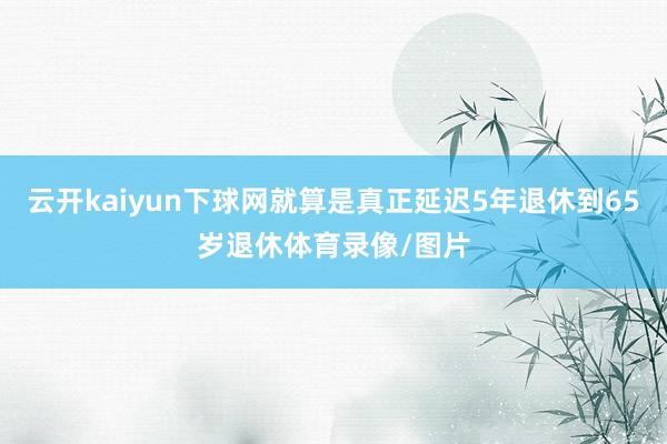 云开kaiyun下球网就算是真正延迟5年退休到65岁退休体育录像/图片