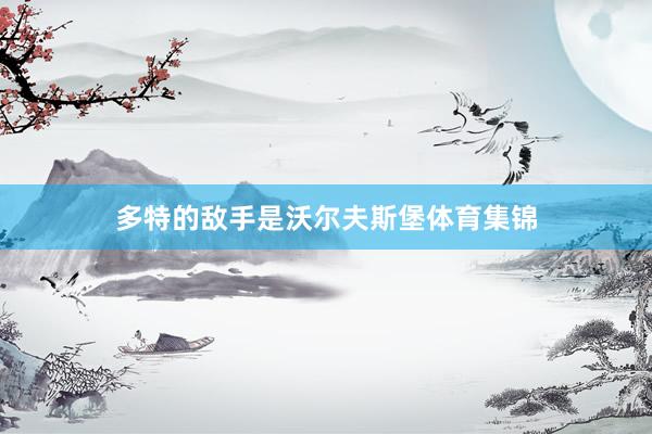 多特的敌手是沃尔夫斯堡体育集锦