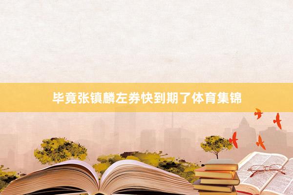 毕竟张镇麟左券快到期了体育集锦