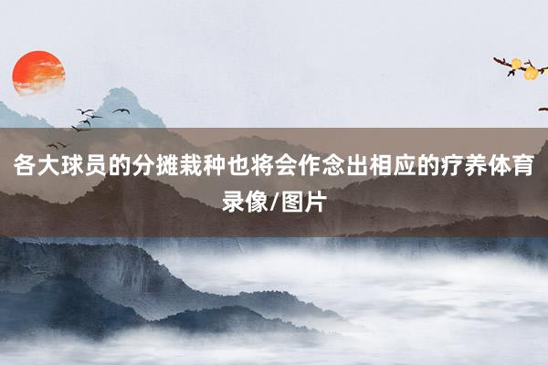 各大球员的分摊栽种也将会作念出相应的疗养体育录像/图片