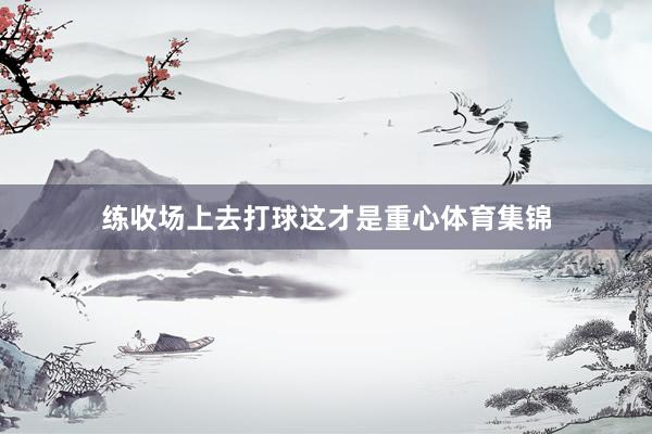 练收场上去打球这才是重心体育集锦
