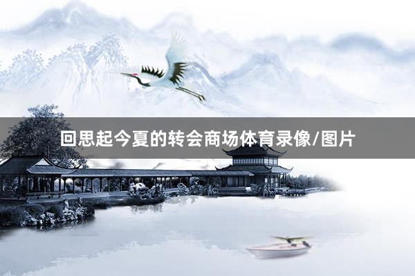 回思起今夏的转会商场体育录像/图片
