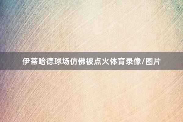 伊蒂哈德球场仿佛被点火体育录像/图片