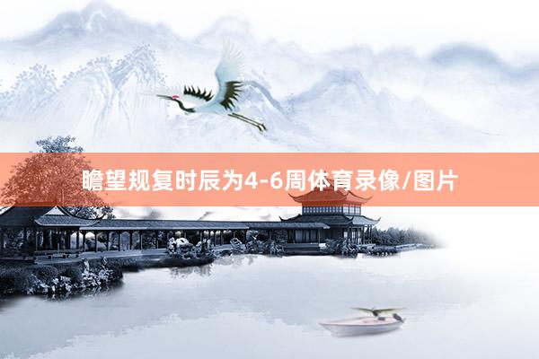 瞻望规复时辰为4-6周体育录像/图片