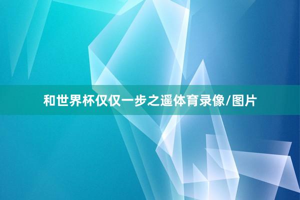 和世界杯仅仅一步之遥体育录像/图片