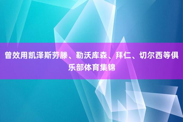 曾效用凯泽斯劳滕、勒沃库森、拜仁、切尔西等俱乐部体育集锦