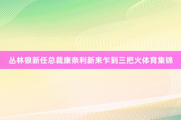 丛林狼新任总裁康奈利新来乍到三把火体育集锦