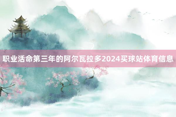 职业活命第三年的阿尔瓦拉多2024买球站体育信息