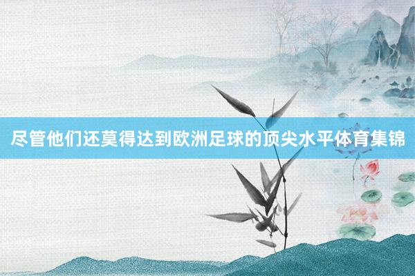 尽管他们还莫得达到欧洲足球的顶尖水平体育集锦