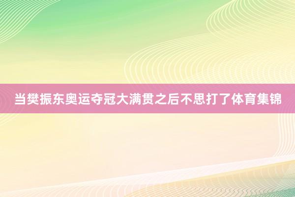 当樊振东奥运夺冠大满贯之后不思打了体育集锦