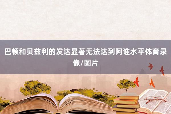 巴顿和贝兹利的发达显著无法达到阿谁水平体育录像/图片