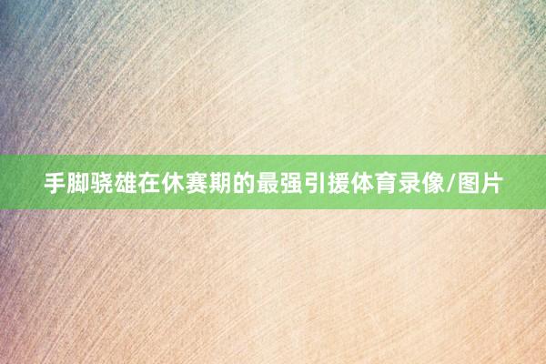 手脚骁雄在休赛期的最强引援体育录像/图片