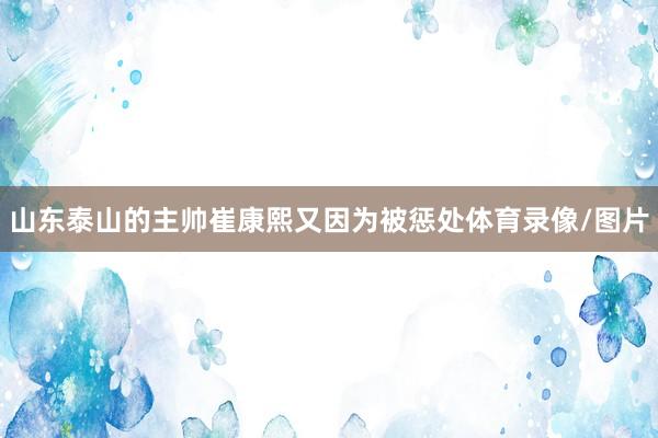 山东泰山的主帅崔康熙又因为被惩处体育录像/图片