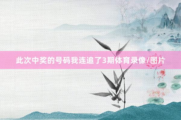 此次中奖的号码我连追了3期体育录像/图片
