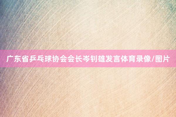 广东省乒乓球协会会长岑钊雄发言体育录像/图片