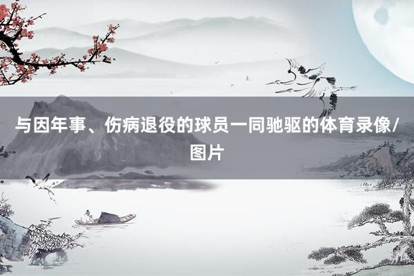与因年事、伤病退役的球员一同驰驱的体育录像/图片